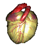 Beating heart animation